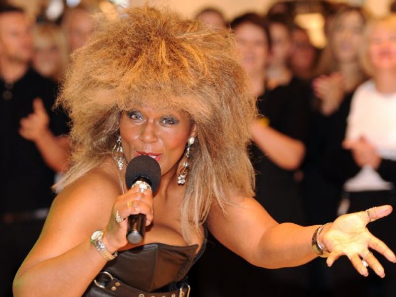a tribute to tina turner